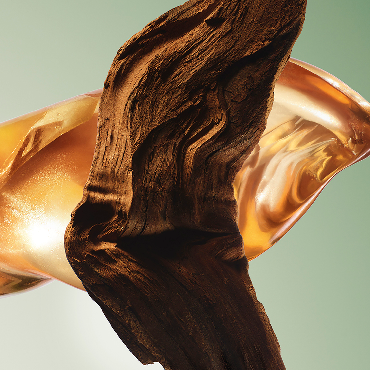 PARADIGME EAU DE PARFUM